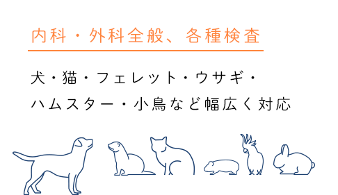 内科・外科全般、各種検査